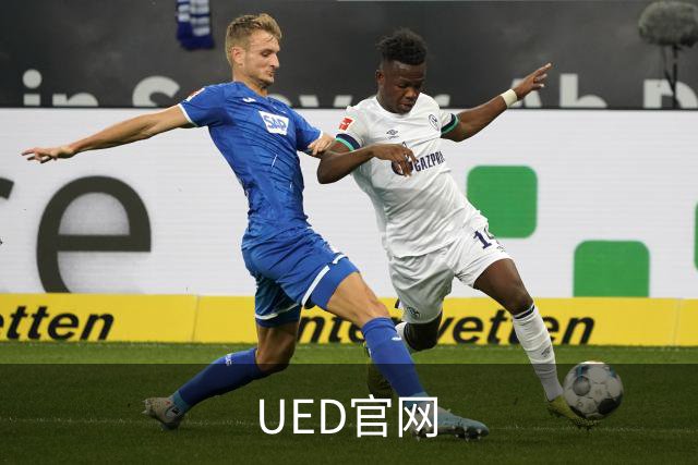 UED官网